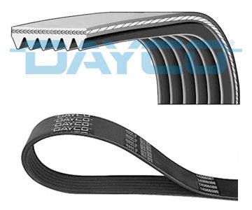 11287631817D 6PK1545 V-Ribbed Belt