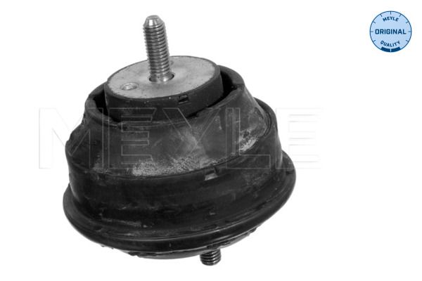 22116779970M 300 118 1107 Mounting, engine