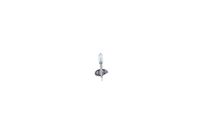 63217160777BO10 63217160777 63 21 7 160 777 7160777 1 987 301 051 BMW 2474 -  Bulb, headlight