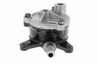 33536789387V 33536789387 33 53 6 789 387 6789387 V20-2491 BMW F10 -  Rubber Buffer, suspension