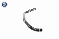 23711133487V1 23711133487 23 71 1 133 487 1133487 V20-1073 BMW E36 -  Mounting, automatic transmission