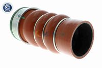 11617796303V 11617796303 11 61 7 796 303 7796303 V20-2718  Charge Air Hose